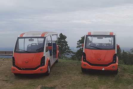 中国橘乡国宾车已交付